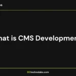 What is CMS Development
