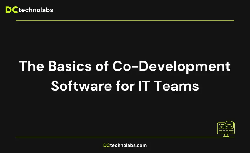 The Basics of Co-Development Software for IT Teams