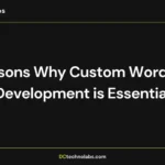 custom WordPress development